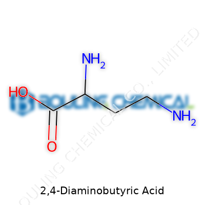 2,4-Diaminobutyric Acid