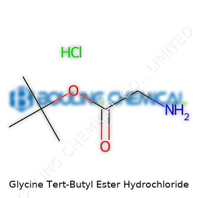 Glycine Tert-Butyl Ester Hydrochloride