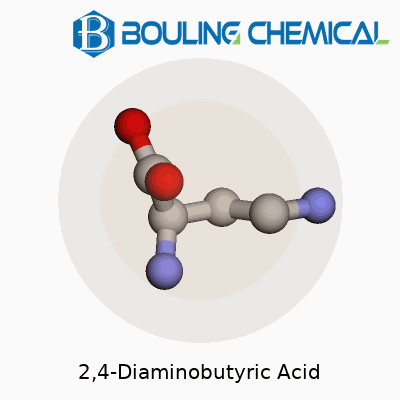 2,4-Diaminobutyric Acid